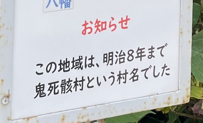 もっこす tweet media