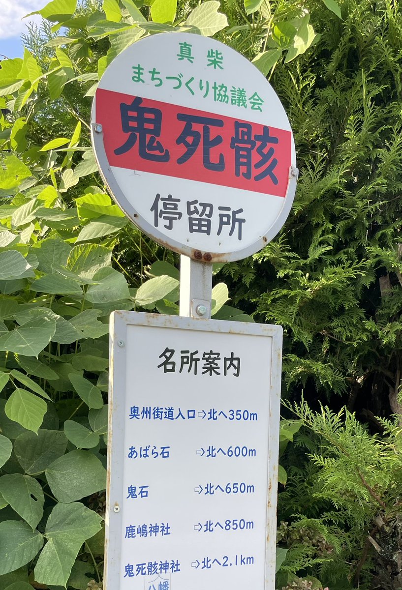 もっこす tweet media