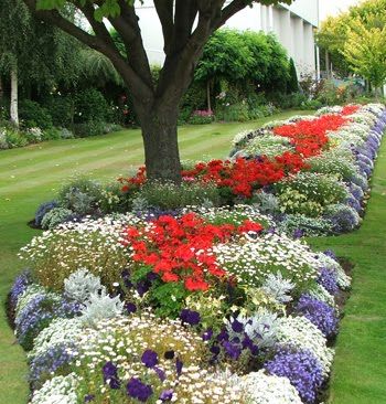 BlueSkyLScaping's tweet photo. 🌿 Whether you're seeking inspiration, a peaceful escape, or simply a place to appreciate nature's wonders, our Floral Garden Installation promises an unforgettable journey into the world of botanical wonders.
https://t.co/9W2nSREn5V
#FlowerGarden #Floralinstallation https://t.co/dhjdGJKdve