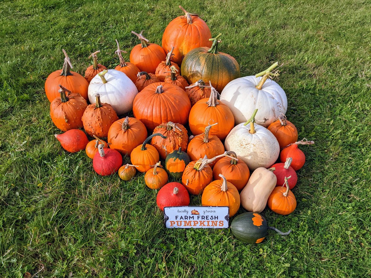 Smallholders Ireland tweet media