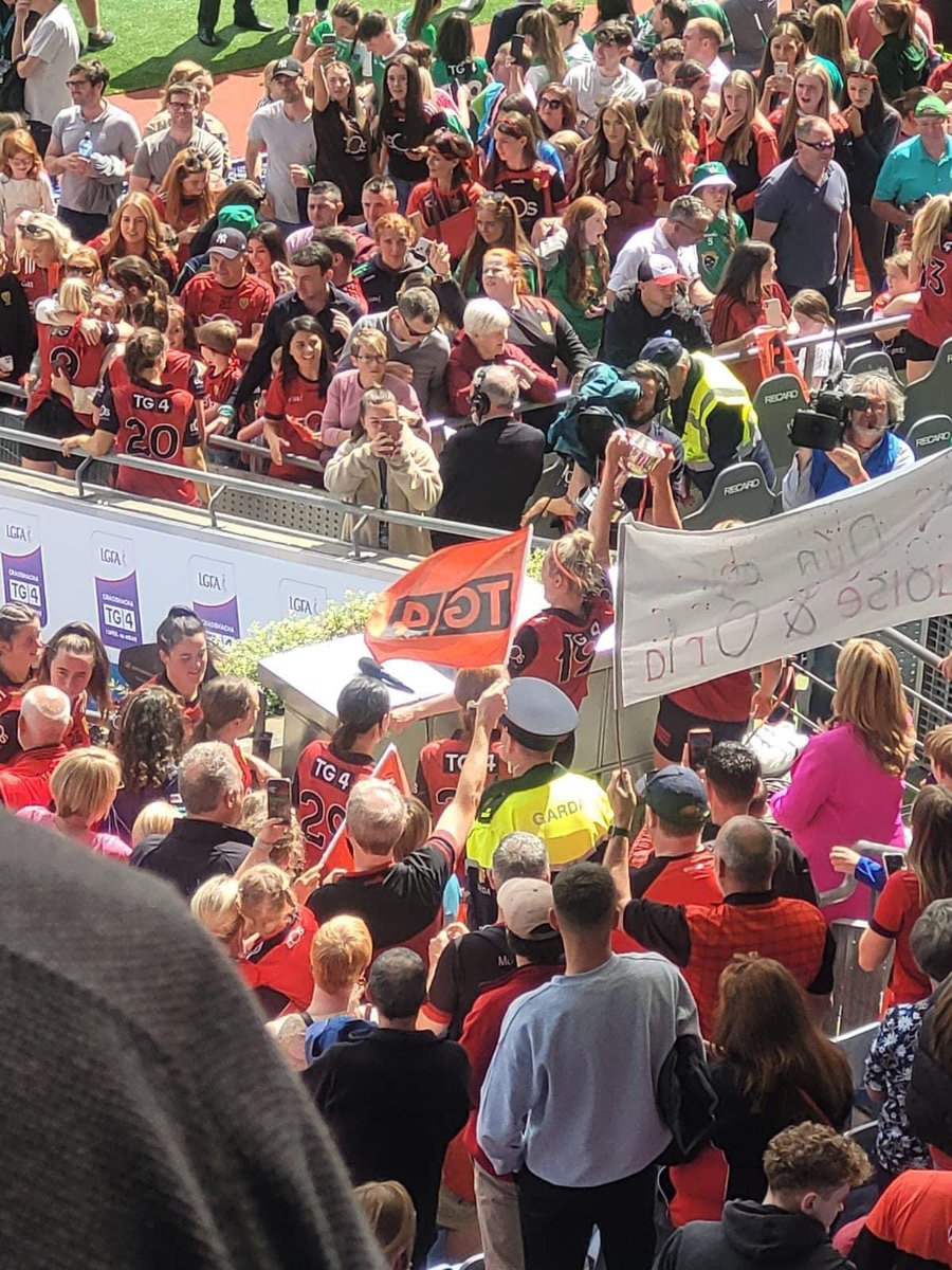 Irish Unity 🇮🇪🇵🇸 tweet media