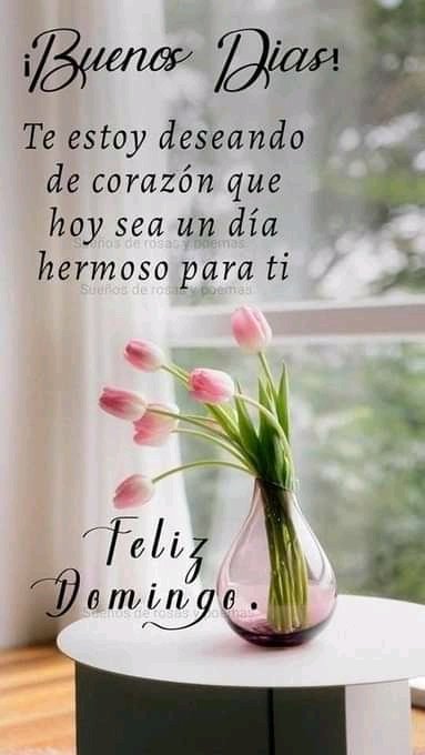 #VamosARecrearnos
<a href="/quiskillosa/">Quiskillosa</a> <a href="/MaianaNoguera/">Maianabelenvolvio</a> <a href="/EGMorenoR/">Esio Moreno</a> <a href="/magopuki/">Manclar</a> <a href="/MamJosefina1/">🌸 Josefina 🌸</a> <a href="/NelsonE68105614/">Nelson 🙈😋😡</a> @notitamor @nanunsc2 <a href="/yeritza1988/">yeritza nunez</a> <a href="/Gabriel1230321/">twitero de la patria ✌️🇻🇪</a> <a href="/rus_ito/">🌊🐬🐬Rusito🇻🇪❤️</a> @Rafaelrs110 <a href="/carrerogloriay/">Tuitero patria (@carrerogloriay)</a> @AnaPadi86161632