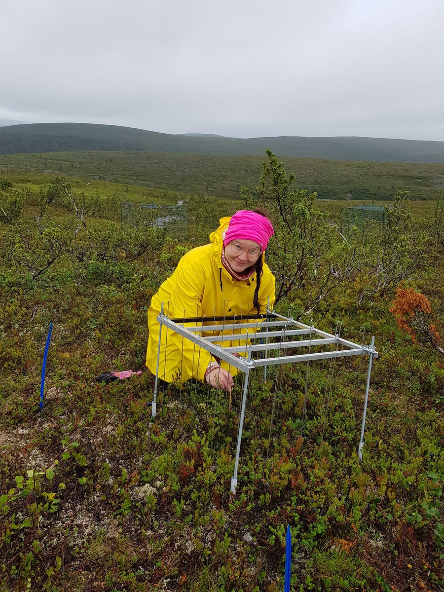 TimoKumpula1's tweet photo. #Landmod @CharterArctic @TundrAsalad field work in Niilanpää Finnish Lapland Tiina Kolari & @VerdonenM https://t.co/47mahCc9wM