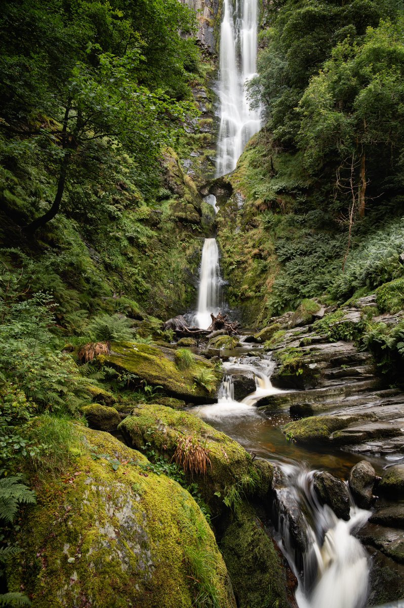 Daron linney tweet media