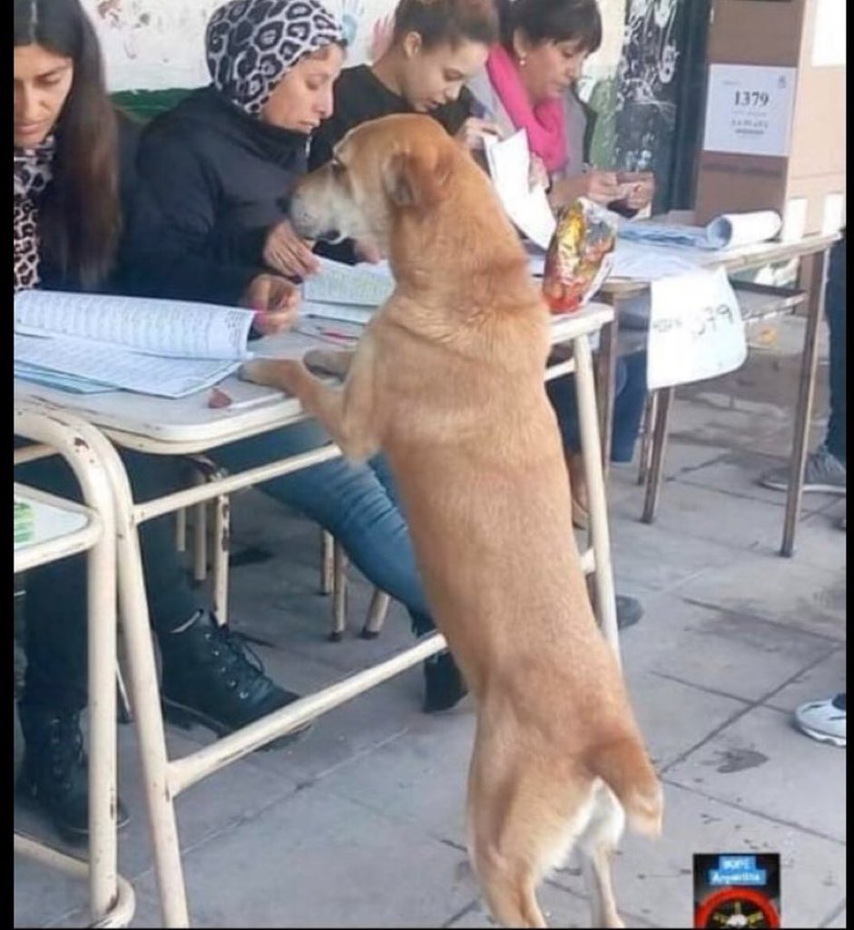 "cómo que no estoy en el padrón(? busca bien. Pol Fernández, con F"