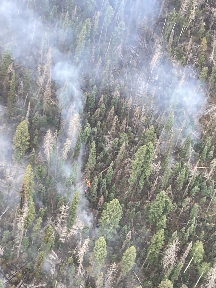 UtahWildfire's tweet photo. #ThompsonRidgeFire Update Aug. 13, 2023
7,289 acres and 0% contained. Monsoonal moisture continued to assist firefighting operations yesterday, with about 0.1” to as much as 0.25” rain in parts of the fire area.
@FishlakeNF https://t.co/8KZI8uG4sa