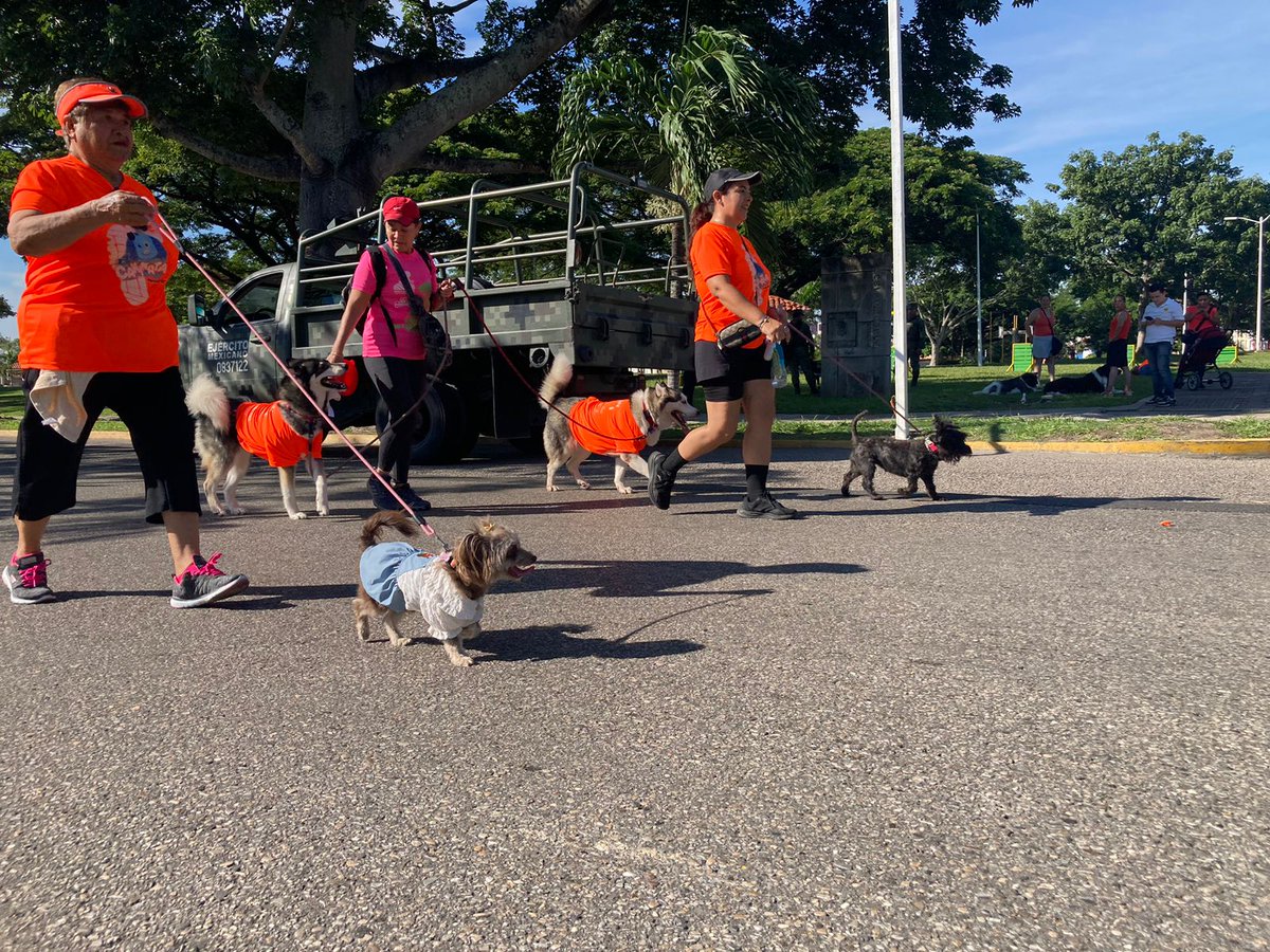 xevtfm's tweet photo. #EnFotos 📸🐶 Comienzan a retornar los canes participantes en la #Caninata 2023. https://t.co/Zo7hvt7lzH