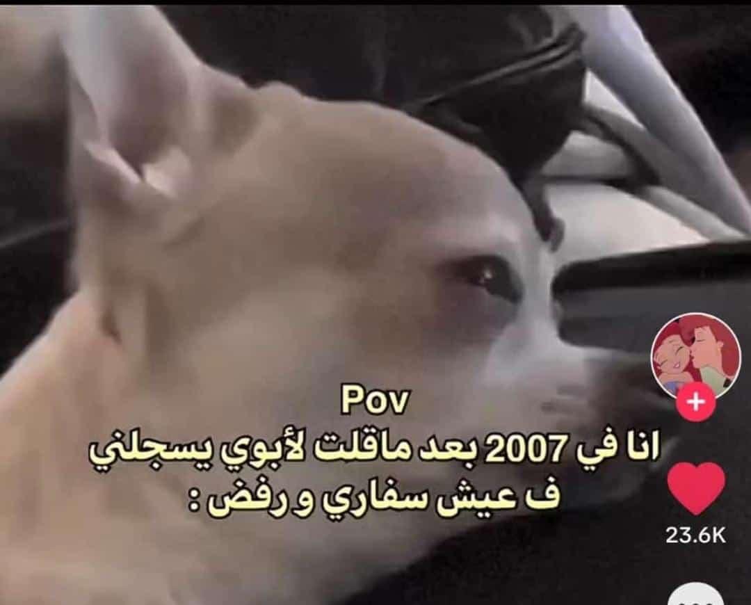Memesawyy's tweet photo. https://t.co/GK9OBYDnfV