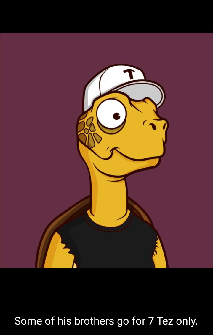 realtinywhale's tweet image. I just saw this on @humatography WhatsApp status. I love this tattered shirt trait. #tinyturtle