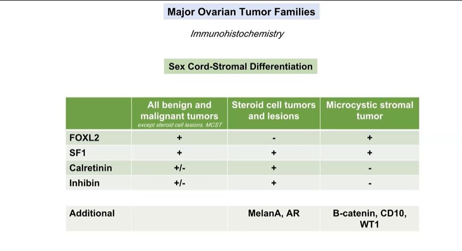 Ovary
Sex Cord-Stromal tumor IHC
Calretinin and inhibin can stain weak, focal or even negative, and here is where the value of SF1 and FOXL2 comes in.
Dr. Rabban #ISGyP #everydayGYN #GYNpath #pathology #pathologist #PathTwitter #PathX