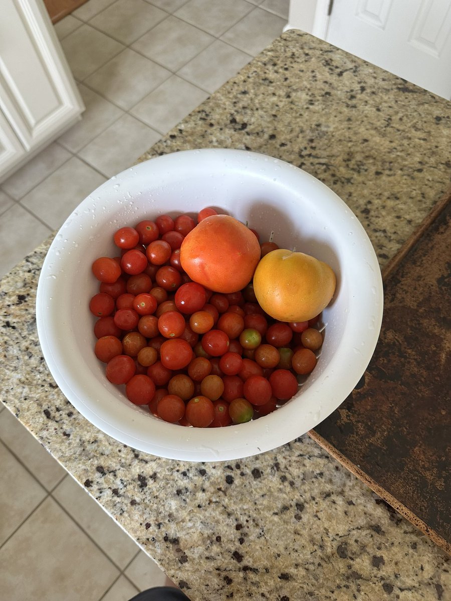 NickJSAdams's tweet image. Tomato sauce home grown. My momma would be proud