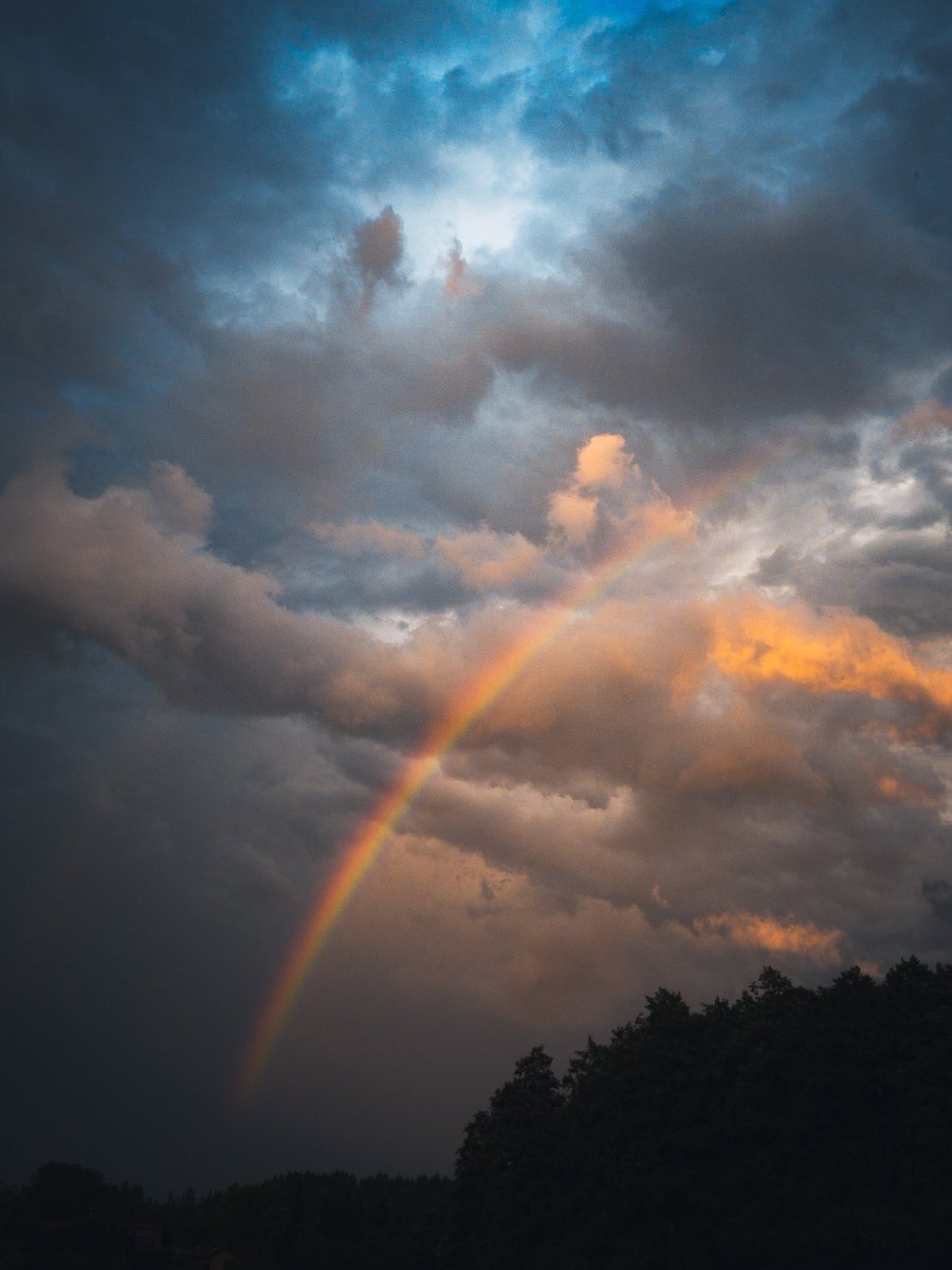 Photos I took with my iPhone