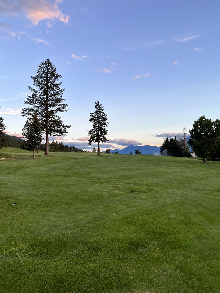 The Average Bear 🇨🇦 tweet media