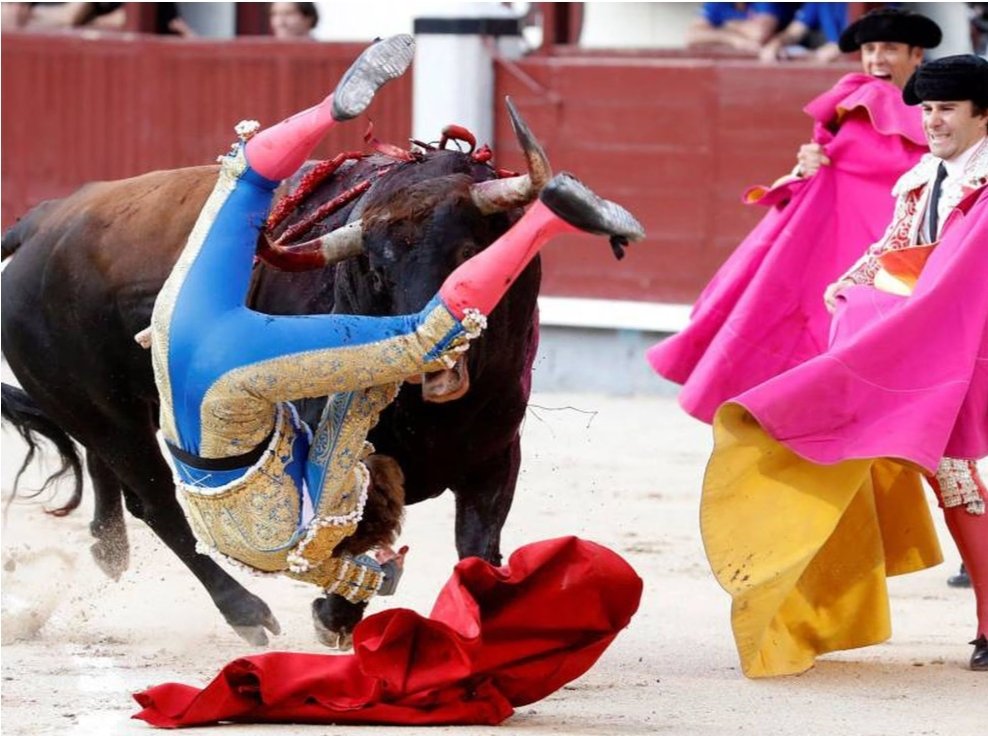 MariaestrellaFC's tweet photo. 🚨COMUNICADO OFICIAL 🚨
Nuestro director deportivo y novillero @alvaromoyano05_ ha sufrido una cornada por asta de toro de 14 cm esta tarde en la plaza de toros de Arroyo del Ojanco. Actualmente se encuentra en la UCI en el hospital de la Puerta de Segura en estado muy grave. https://t.co/P7oP4o2bCP