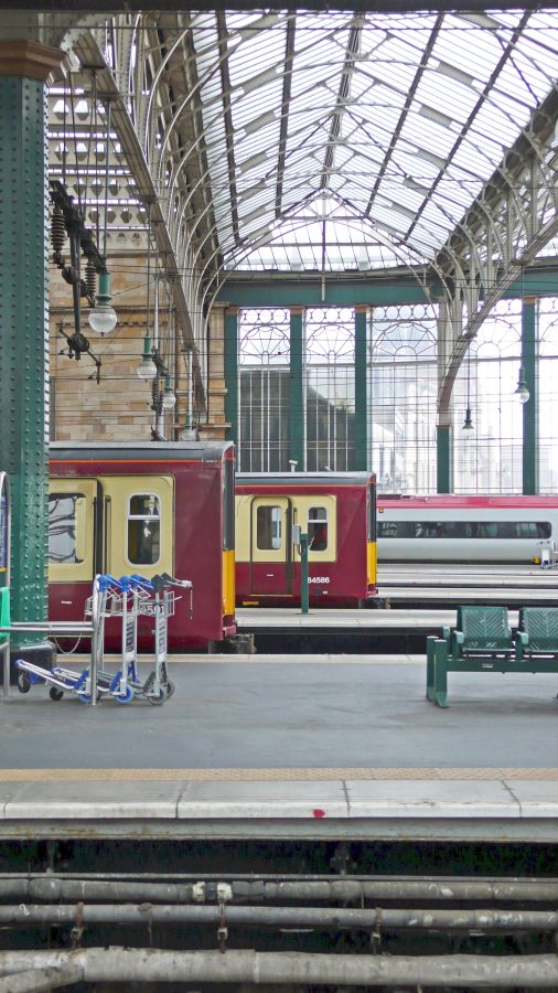 LachlanMain's tweet photo. GLASGOW 29-09-16.
Central Station line up with ScotRail 314205 & 314202.
#ScotRail #Glasgow #Scotland #class314 #Railways #railwaystation https://t.co/AeeNIVX22J