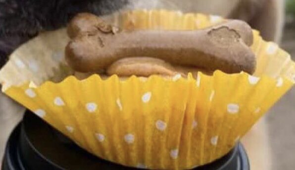 Fab walk around Roath Park today. Not only was our fave coffee &amp; welshcake pop up - Jivey’s - there on Wild Gardens Rd but <a href="/CardiffDoughCo/">CardiffDoughandCo</a> too. Treat was in order. Dog queued for drinks &amp; her Jivey’s dog cake. Number 1 son hit the CDdonuts - he was well impressed 😁👍 Blasus iawn