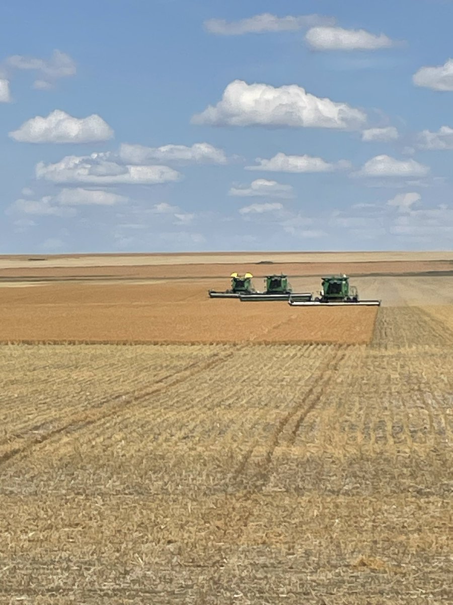 Aaron Minish tweet media