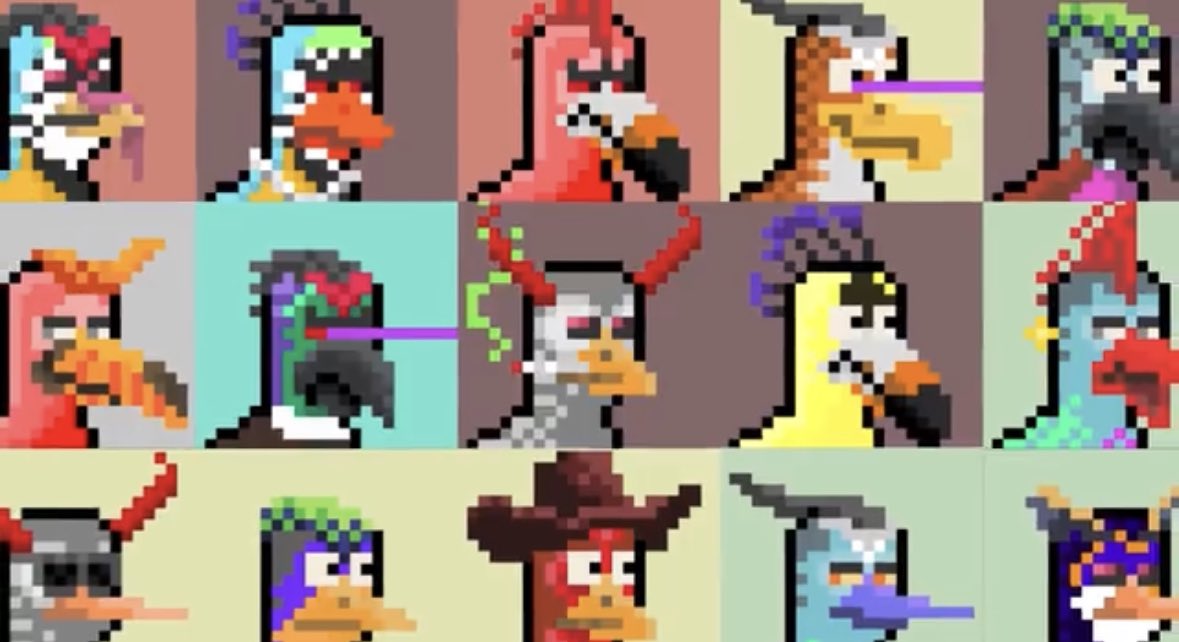 Bit Bird Club tweet media