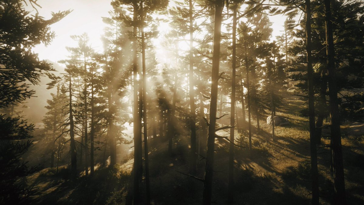 Red Dead Redemption 2 

#VirtualPhotography 
#RedDeadRedemption2