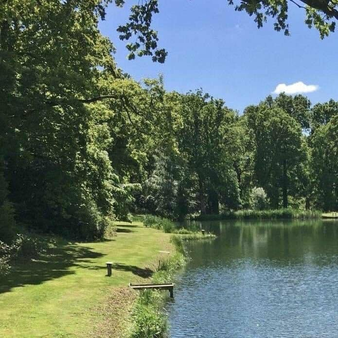 this is where i belong.