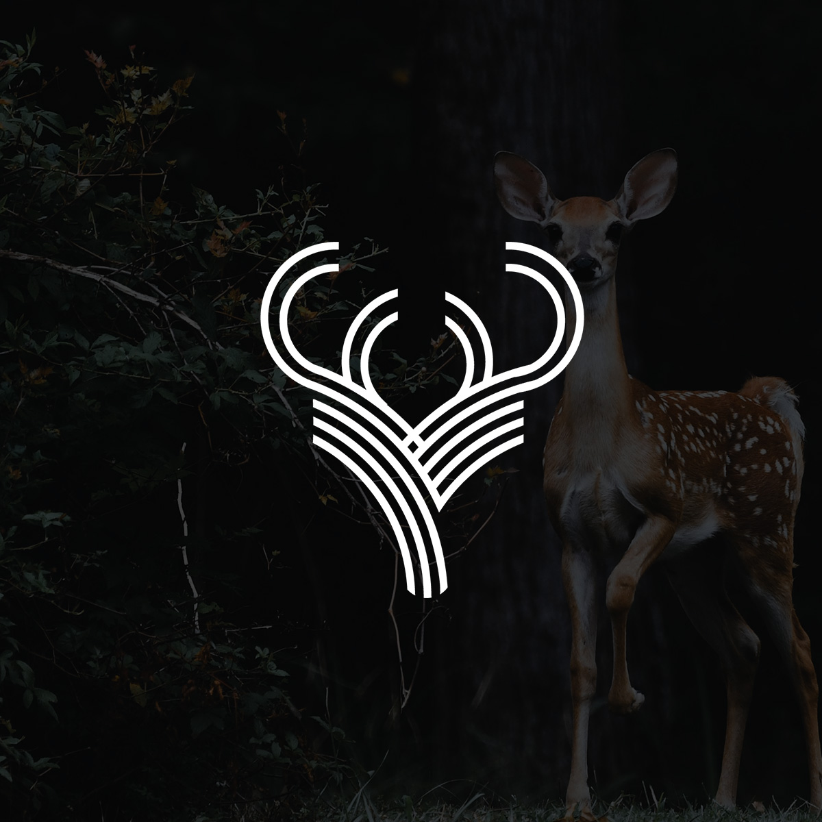 new logo 🔥
please drop your comment about this logo😍also do your need any type of logo or branding design you can message me 😂
#logo #logodesign  #logodesigner #brand #branddesigner #graphicdesign #designer #modernlogo #StayWithMe