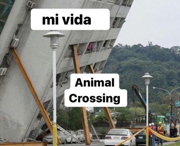 Canela_chair's tweet photo. Animal Crossing en una foto: https://t.co/u6NAmsrWhO