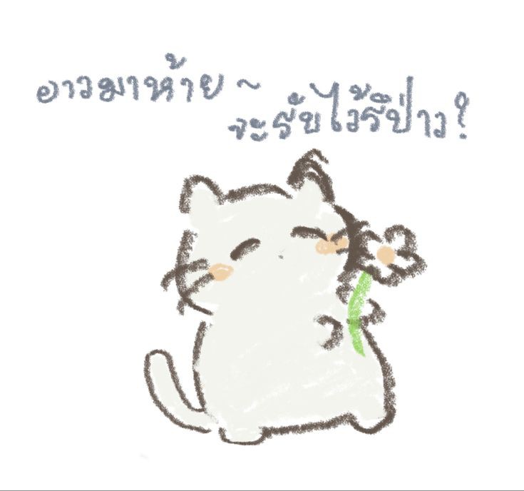 ─ for u , you are the best.