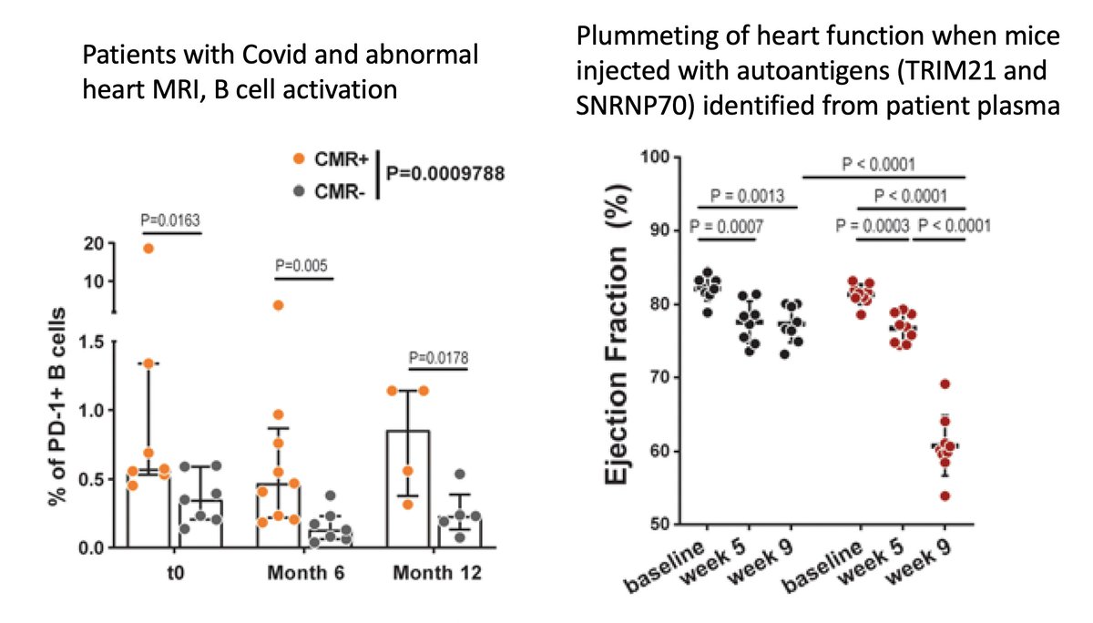 EricTopol's tweet photo. Evidence for heart autoimmunity in patients with #LongCovid
https://t.co/0ttx9LjEpK @CircAHA by @gcondorelli and colleagues https://t.co/8LZe3x1sCB