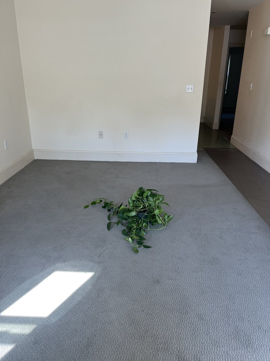 Megan Johnson tweet media