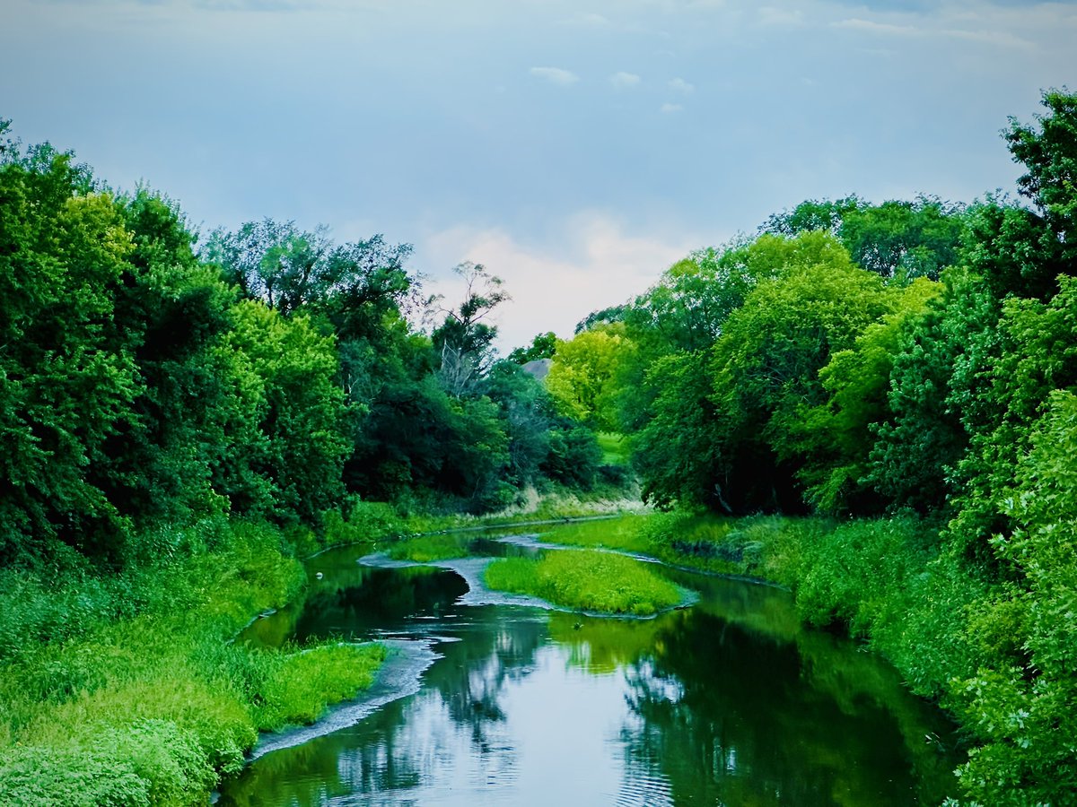 Beuks605 tweet media