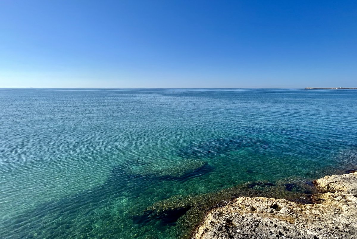 gianpaolo comelli ☁️ tweet media