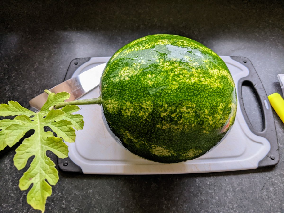 Smallholders Ireland tweet media