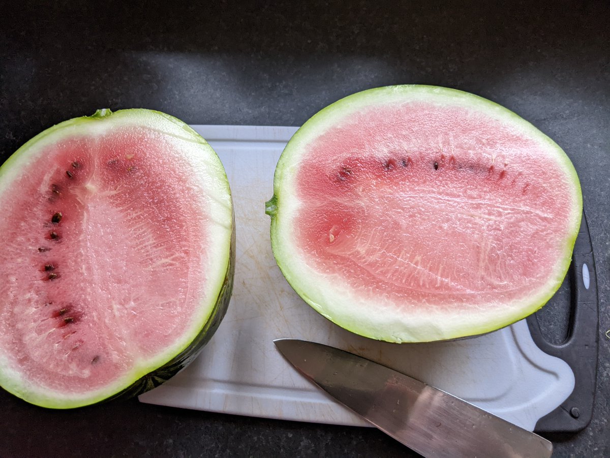 Smallholders Ireland tweet media