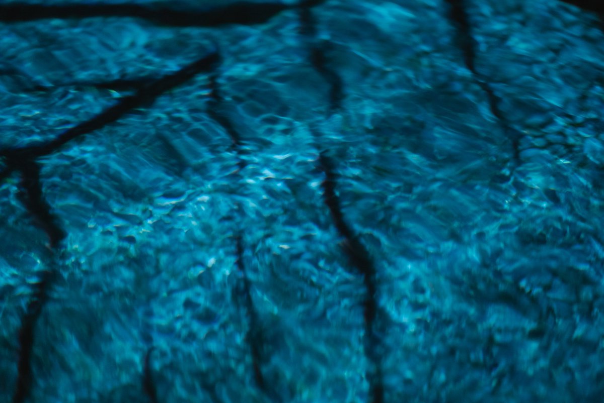 井上 真洋｜kobito inc. tweet media