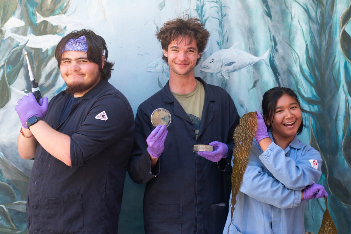 InessaChandra's tweet photo. I had a wonderful summer of research @USCWrigley with the help of Zinsmeyer REU Declan Bulwa and Wrigley REU Miguel Sanchez! In addition to helping me with my own research, they conducted their own, original experiments on #Vibrio and #kelp. PC: Jason Goode https://t.co/qfWtTKQGiV