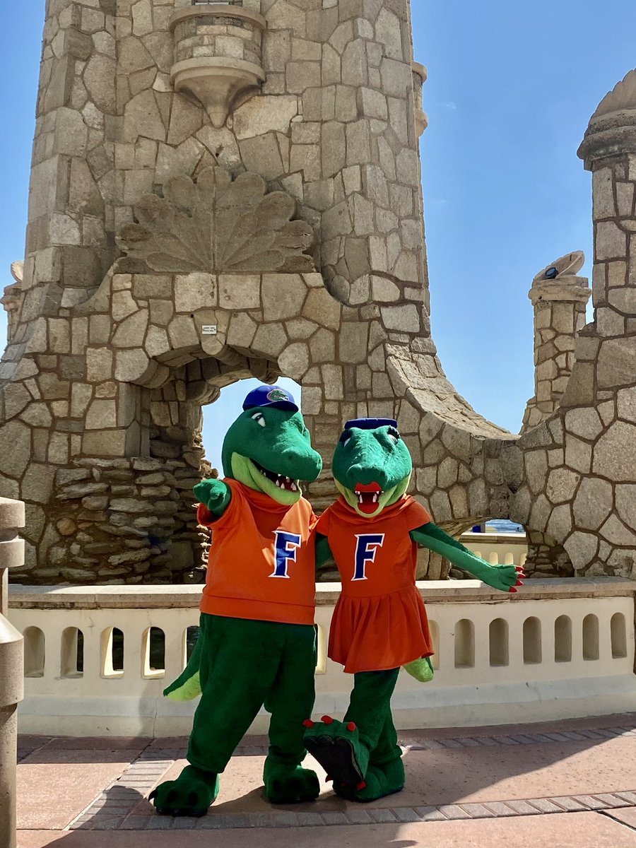 Sun’s Out Guns Out 🌴💪