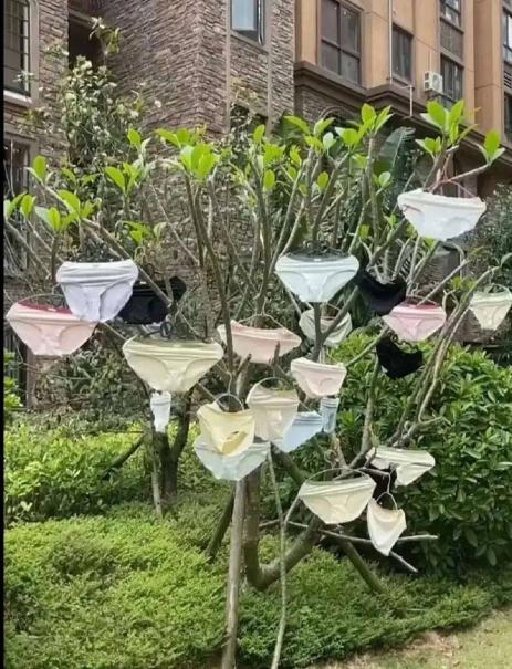 好哥哥们，帮我看下有摄像头吗