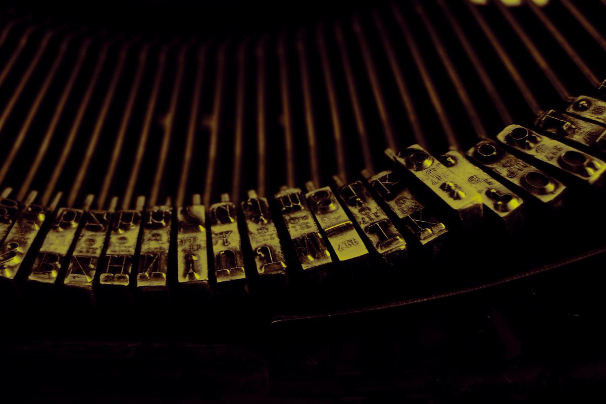 Purple Orchid Publishing tweet media