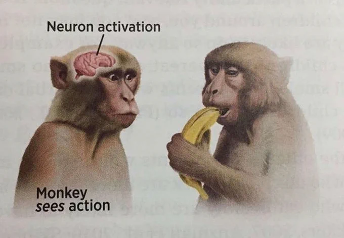 interesting_aIl's tweet image. 