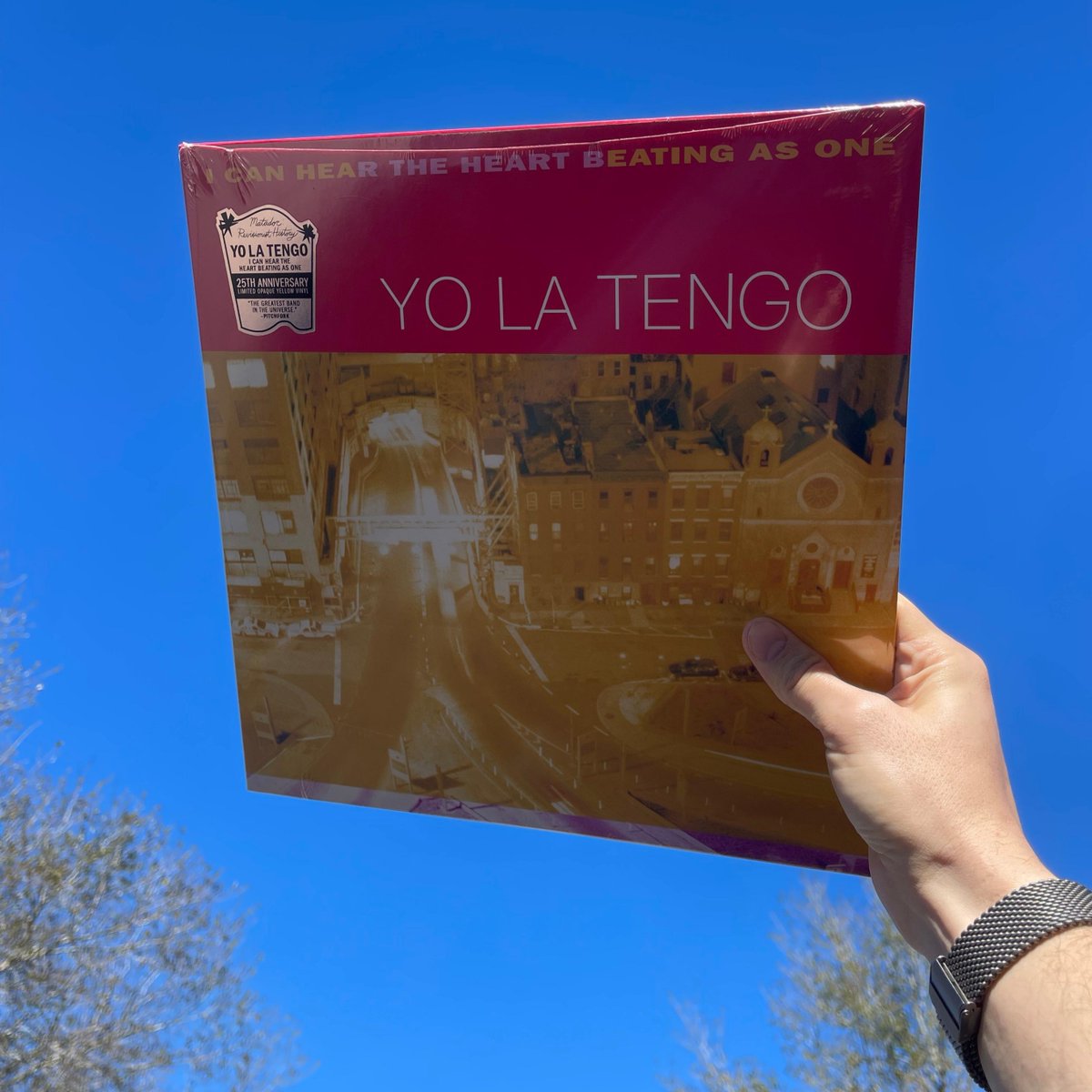 mood #yolatengo #icanheartheheartbeatingasone
