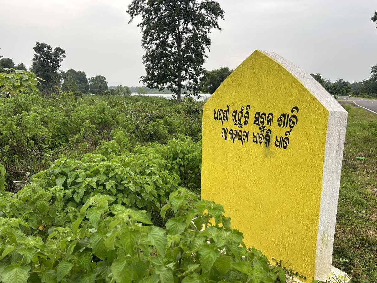 Got to see this beautiful message for a greener  world on the Padampur- Gaisilat Road. 💚🍀

#Padampur #Gaisilat #Bargarh #GreenIndia #BeautifulOdisha #nature