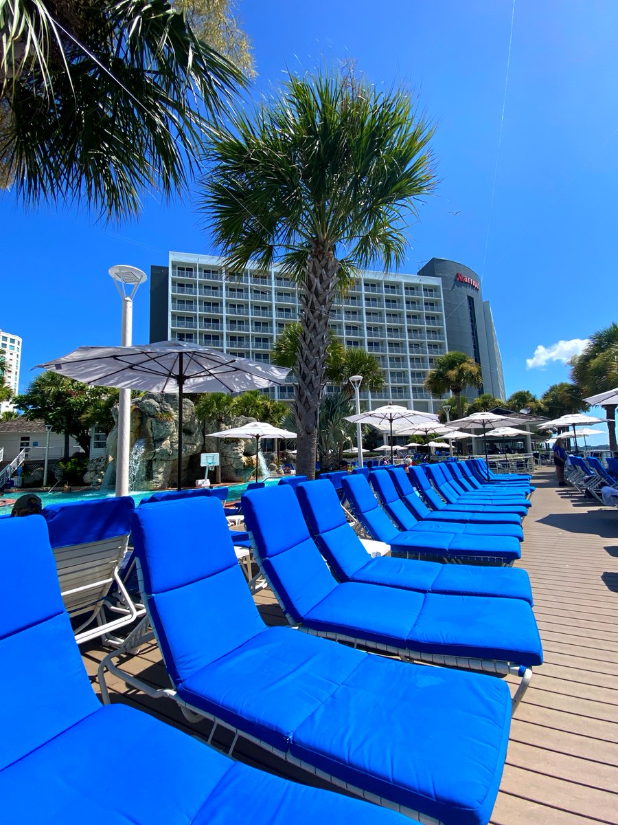 Clearwater Beach Marriott Suites on Sand Key tweet media
