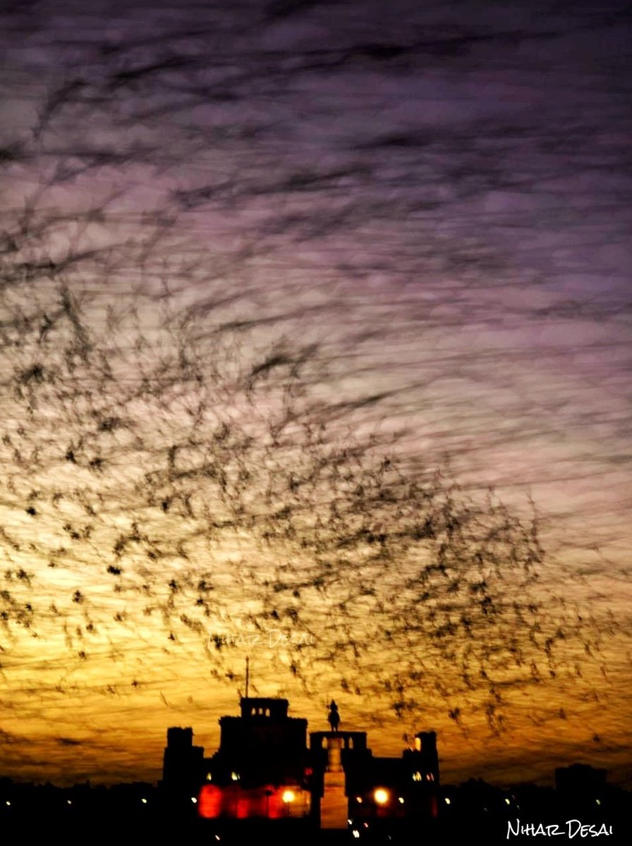nihardesai7's tweet image. The magic of slow shutter speed 😍

Photographers, share your slow-shutter images 👇

#photography 📸 @baxirahul