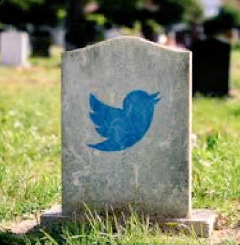 serge_16183's tweet photo. Farewell a little blue bird https://t.co/BAK4epmALo