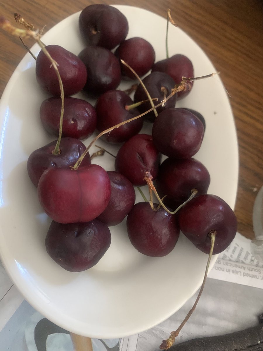 michaelKscott4's tweet photo. @MikocheniReport Breakfast is spartan on the weekend. Cooking for the week ahead is challenging for a foodie with an out-of-control eclectic pantry. So I’ll graze 🐐 on cherries and wait for the #Injera to rise a bit and then rustle up some #Kitfo and #FitFit. https://t.co/SaVrMwAhzz