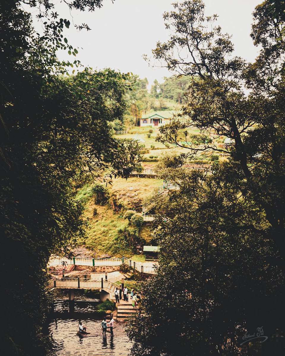 rick_indranil's tweet photo. Just for another day, I’ll be pacing in the #sunshine. Memories are echoing, the times those were all divine.

🍃🌻🍃

#naturelover #green #landscapephotography #NaturePhotography #Paradise #hillstation https://t.co/Pk84WJJoVF