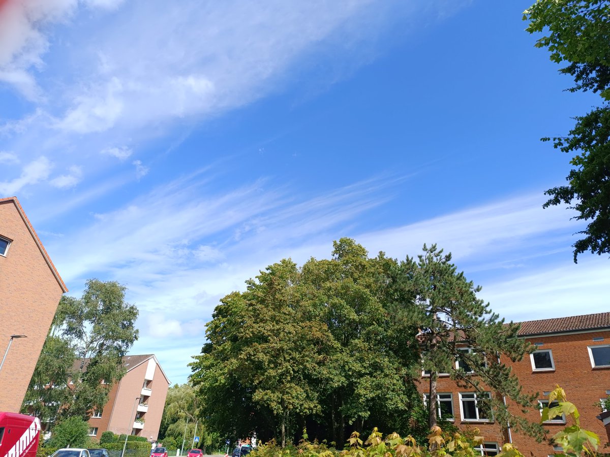 Gniztv's tweet photo. Strahlend blauer Himmel https://t.co/OzPMmX3LZT
