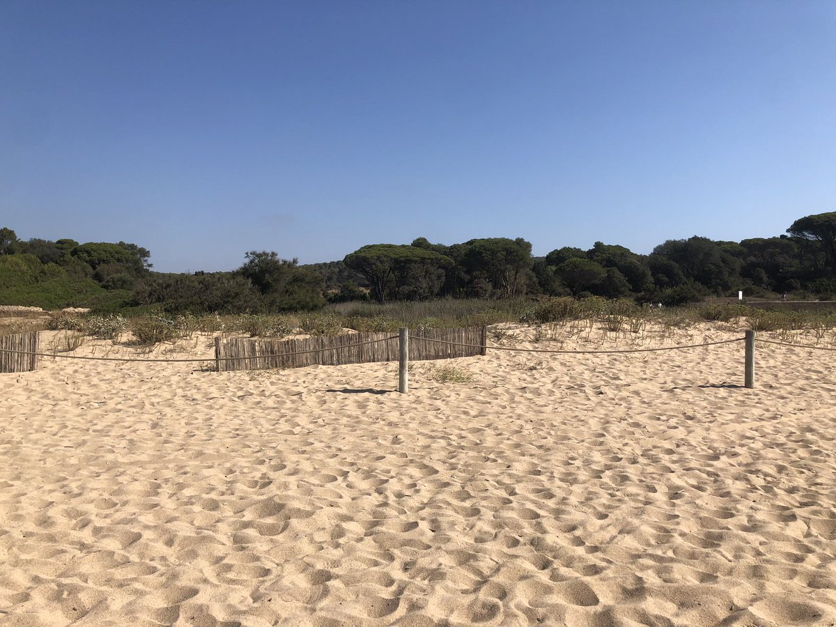 AmicsdLEstartit's tweet photo. @illesformigues Abans de prendre segons quines decisions, jutges i magistrats haurien d’anar a fer comprovaciobs “in situ” 

Mireu com llueix Castell i com es recorda la campanya de fa… 28 anys ‼️ https://t.co/TQGwtBbiLf