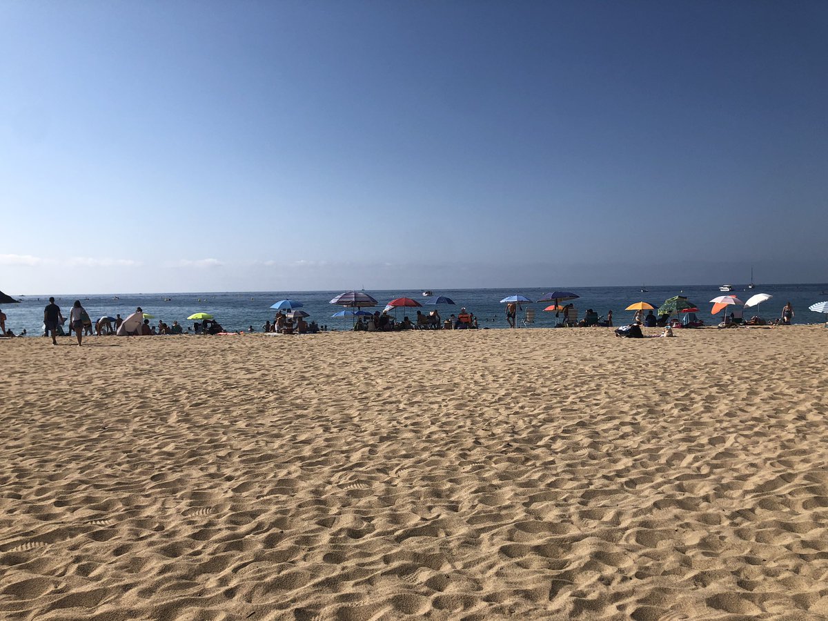AmicsdLEstartit's tweet photo. @illesformigues Abans de prendre segons quines decisions, jutges i magistrats haurien d’anar a fer comprovaciobs “in situ” 

Mireu com llueix Castell i com es recorda la campanya de fa… 28 anys ‼️ https://t.co/TQGwtBbiLf