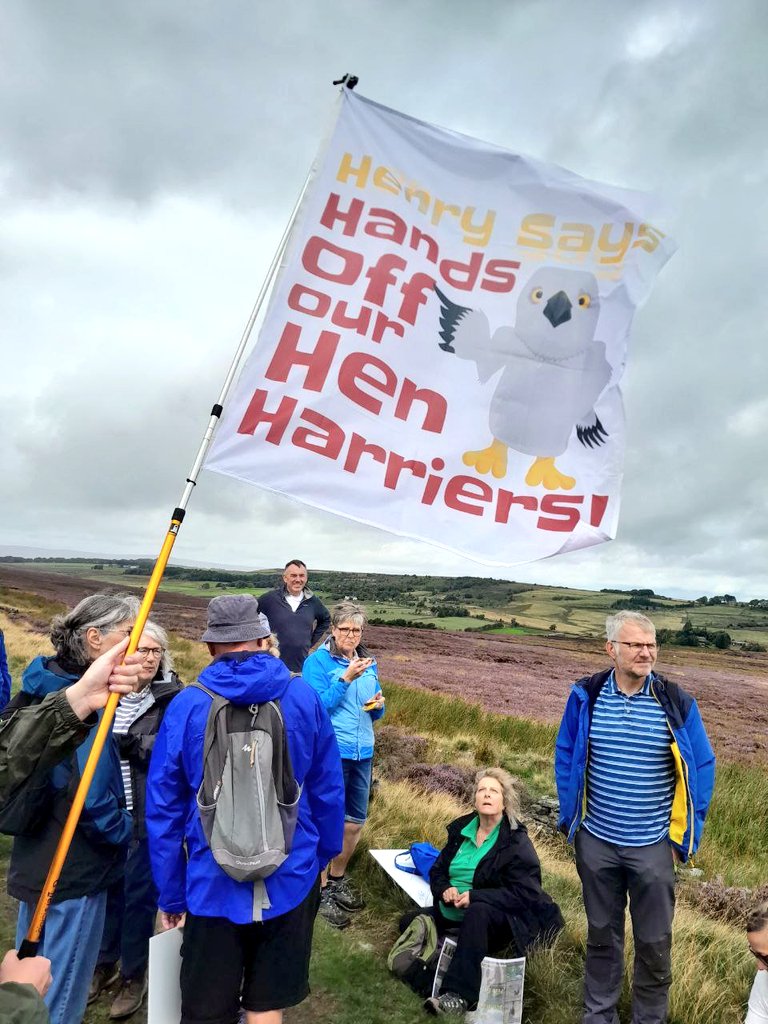 DerbyshireAgainstTheCull tweet media